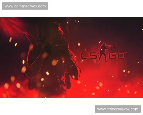 《深入解析CSGO常见提示与错误信息及其解决方案》
