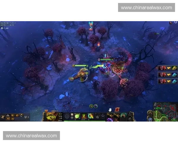 Dota2签证攻略全面解析助你顺利进入电竞世界